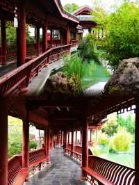 南郊公園｜一處隱藏在都市中的古色古香