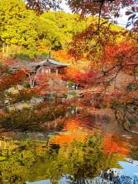 日本7日遊｜真溫泉 壯麗體驗