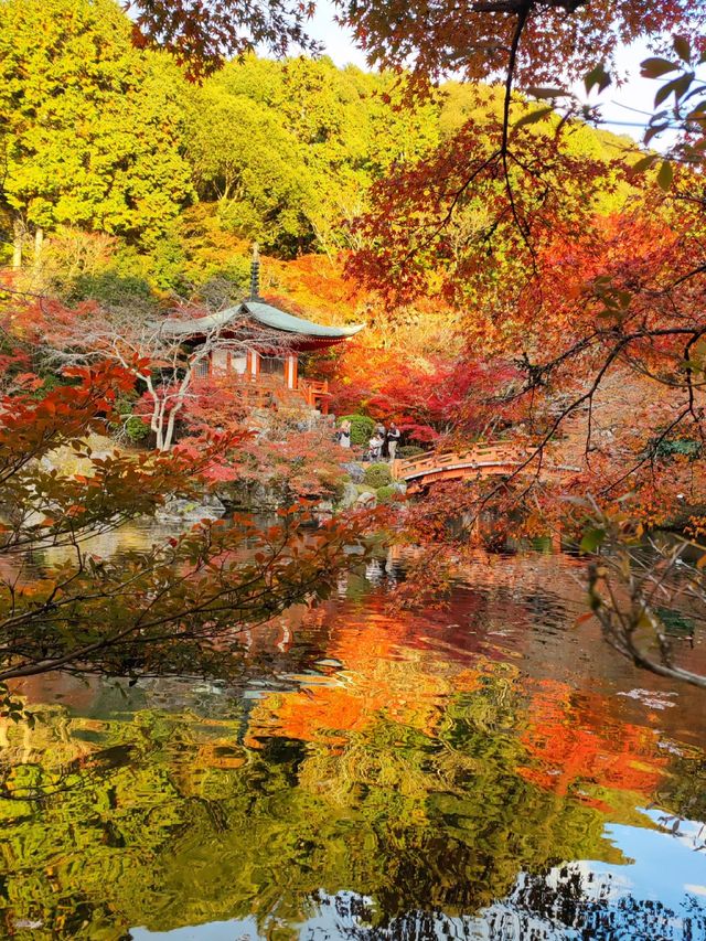日本7日遊｜真溫泉 壯麗體驗
