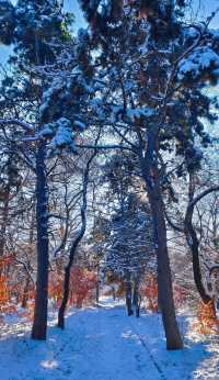 吉林長春|南湖公園•看看這隱匿的雪後仙境