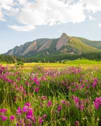 奇帕瓦克山：冒險者的隱秘天堂 