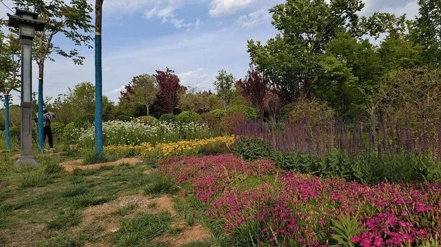 伊水遊園遊玩攻略