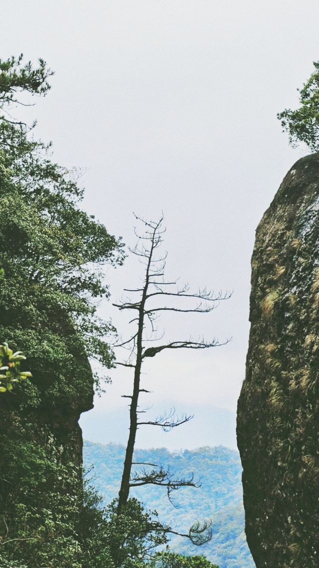 《無痛登山的神仙居：奇幻仙境之旅》