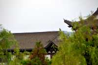 金山寺一瞥（1）