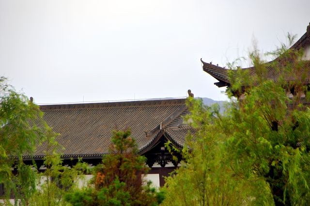 金山寺一瞥（1）