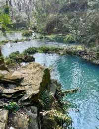 大口森林公園旅遊推薦以及周圍酒店推薦