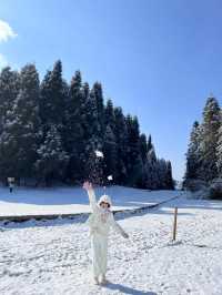 仙女山滑雪場