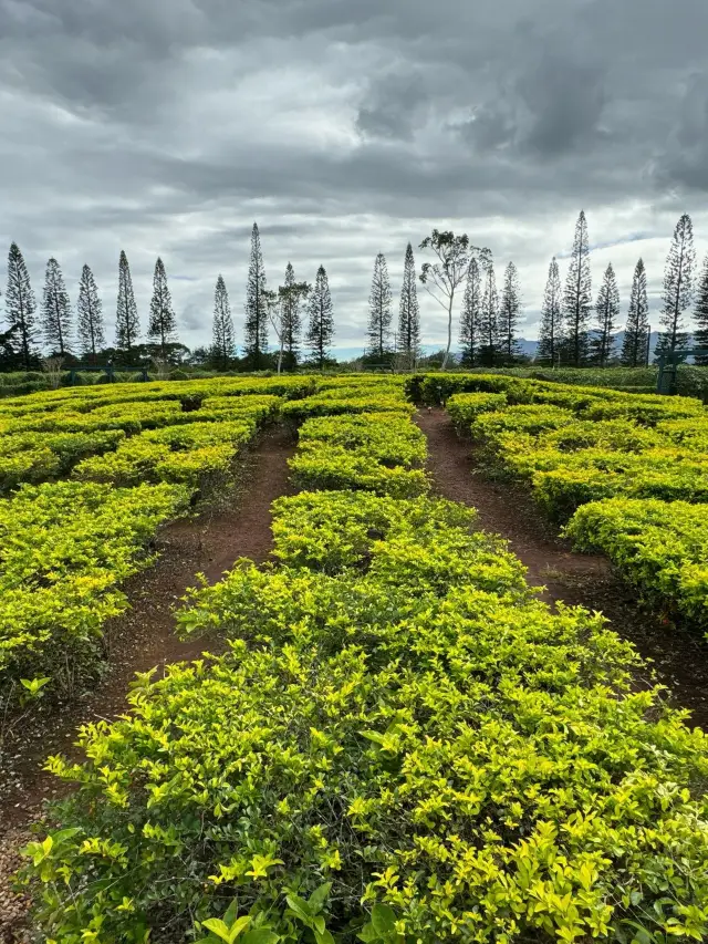 8-Day Winter Break in the US: The Ultimate Guide