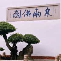 【承天禪寺】泉州鬧市中，靜謐清幽的寺廟