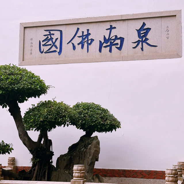 【承天禪寺】泉州鬧市中，靜謐清幽的寺廟