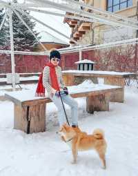 來長白山滑雪住萬達威斯汀的8大理由
