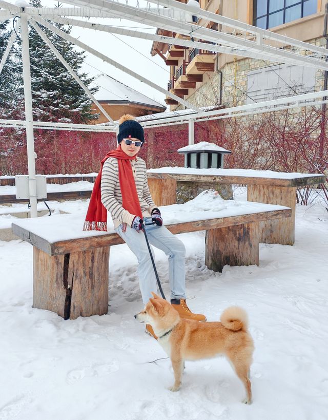 來長白山滑雪住萬達威斯汀的8大理由