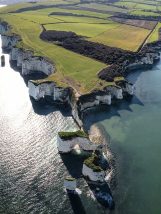 Spring Scenery | Old Harry Rocks | Day Trip from London