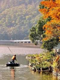 深圳四海公園超詳細遊玩攻略！
