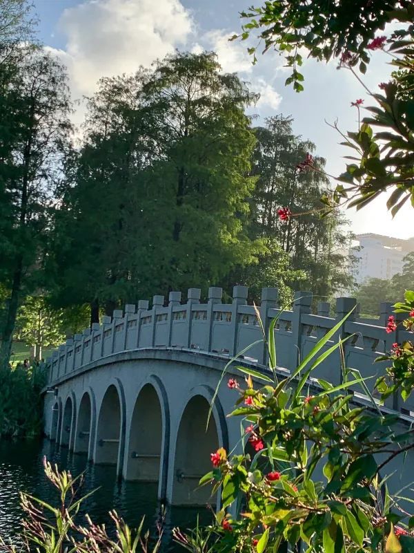 深圳四海公園的美景讓人流連忘返！