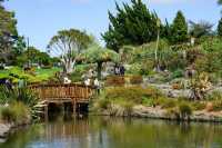 Explore the Auckland Botanic Garden This Spring