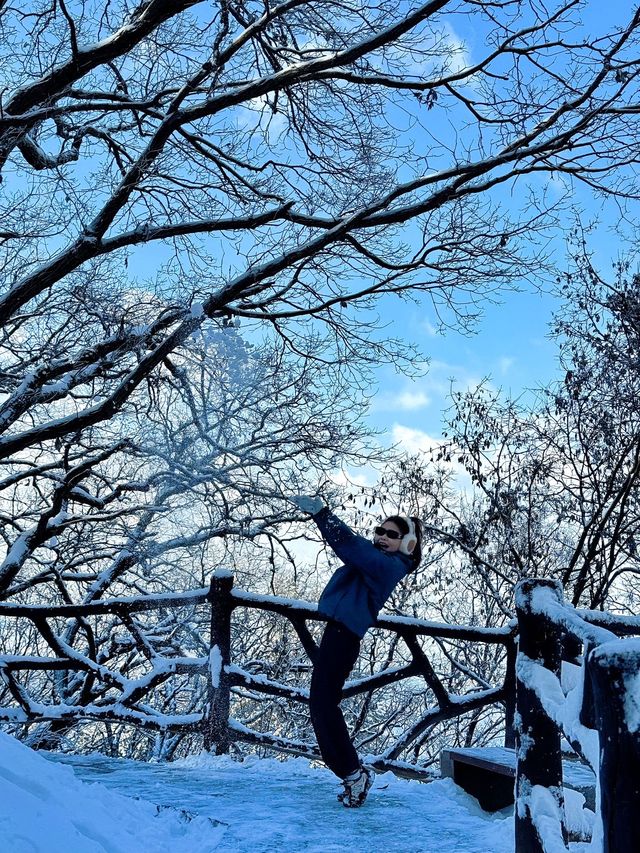 西安出發40分鐘 | 秦嶺冬日雪國秘境登高賞雪