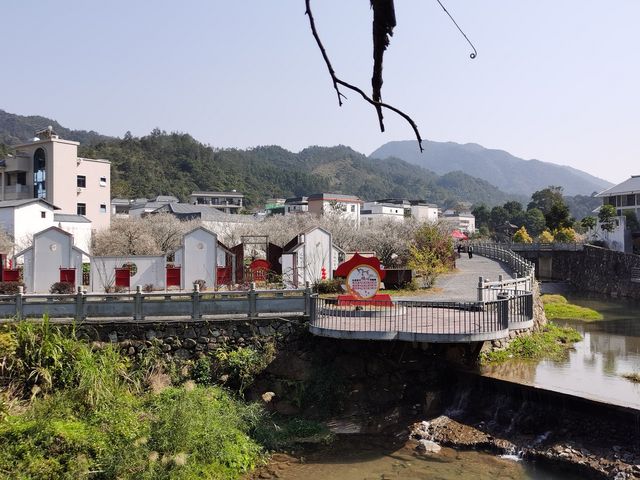 冬日汕尾必打卡點——螺洞世外梅園