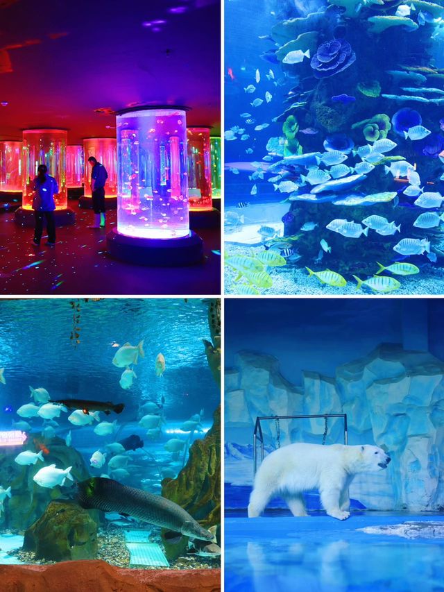 江浙滬遛娃徐州歐樂堡兩天一晚親子遊
