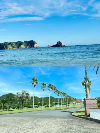 Tokyo Surroundings | 3 Days 2 Nights Chiba Sea Chasing Guide