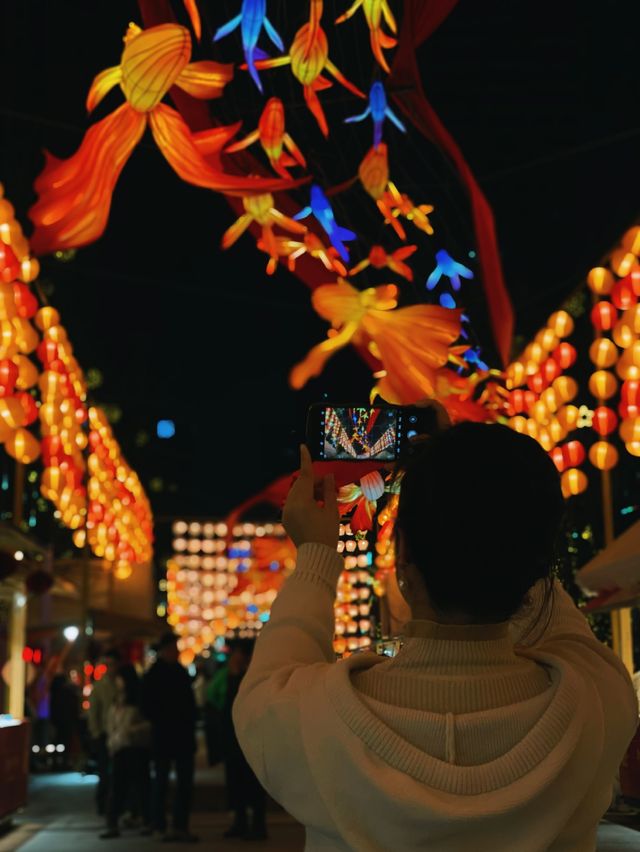 成都免費燈會集錦～之鐵像寺水街