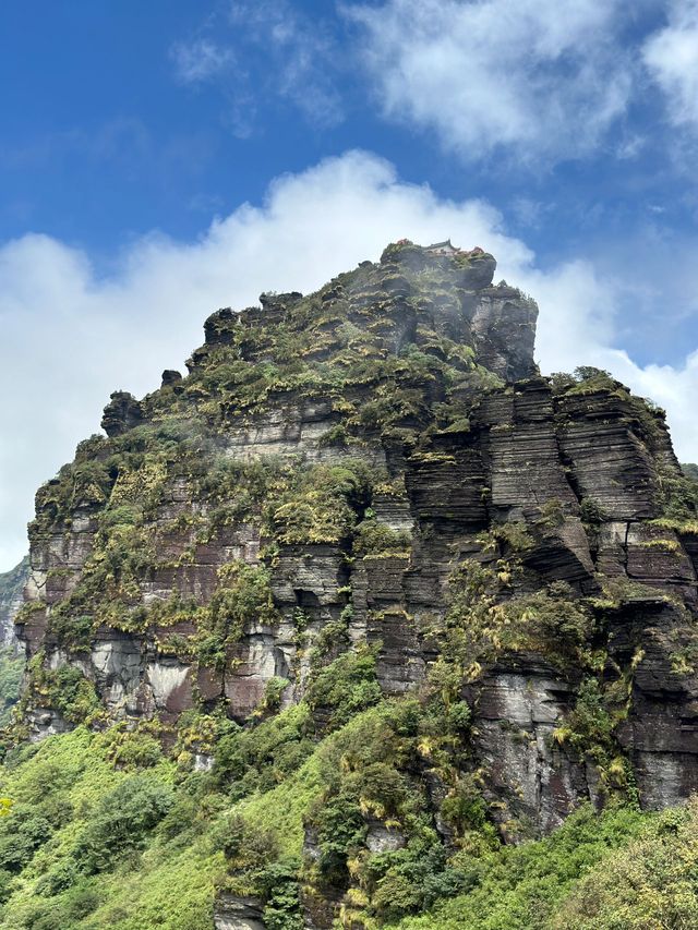 過年要去貴州黃果樹-梵淨山-鎮遠超全旅遊攻略