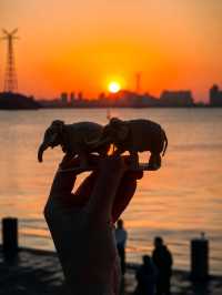 廈門旅遊｜看完夕陽，欣賞燈會