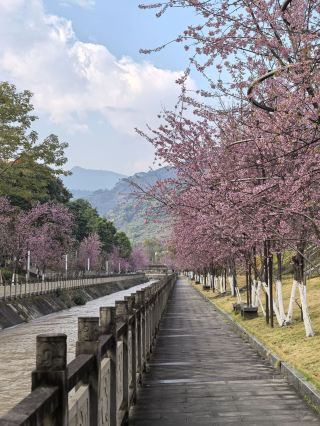 10-Day Miyi Tour | Super Detailed Guide, Save It Now!