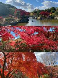 精華總結日本堺市旅遊實用攻略篇