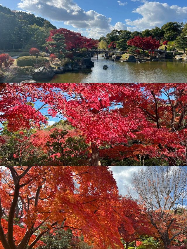 精華總結日本堺市旅遊實用攻略篇