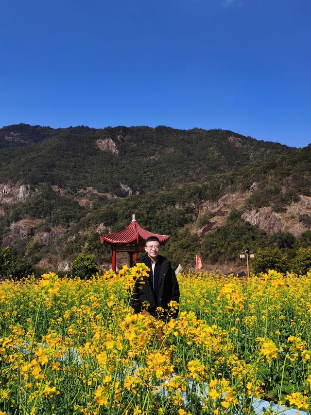 福州賞油菜花觀賞攻略