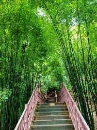 川西竹海，夢幻般的人間仙境