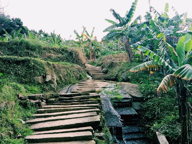 XiQiao Mountain: Evergreen Realm of Guanying Goddess