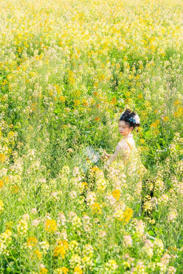 廣州油菜花海