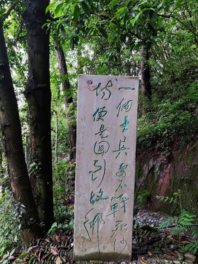 長沙-韶山-張家界帶娃遊超實用攻略 輕鬆出行