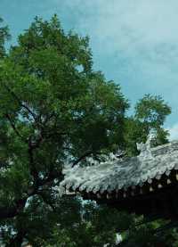 陽泉：中共創建第一城