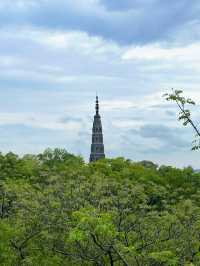 寒假遊玩張家界-大峽谷-天門山 超全攻略請收好