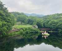 走進大邱桐華寺｜感受寧靜與祥和