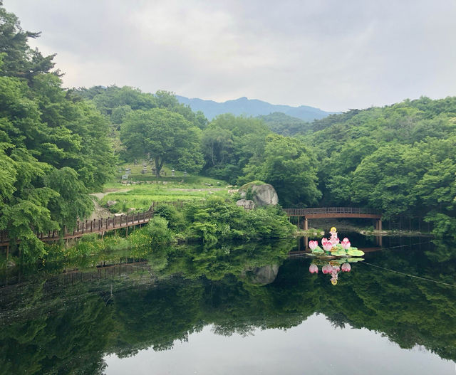 走進大邱桐華寺｜感受寧靜與祥和