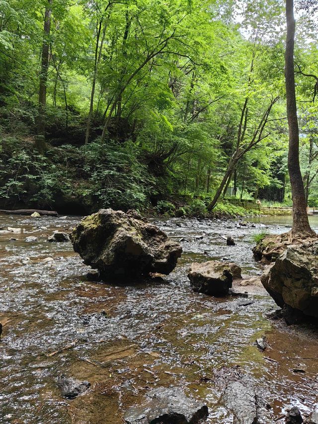 吉林通化龍灣群國家森林公園：大自然的夢幻仙境