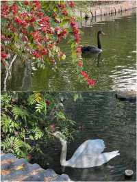 廣州動物園 20元門票超值