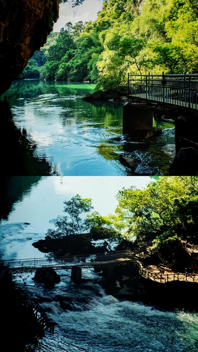 一起跟森林呼吸吧