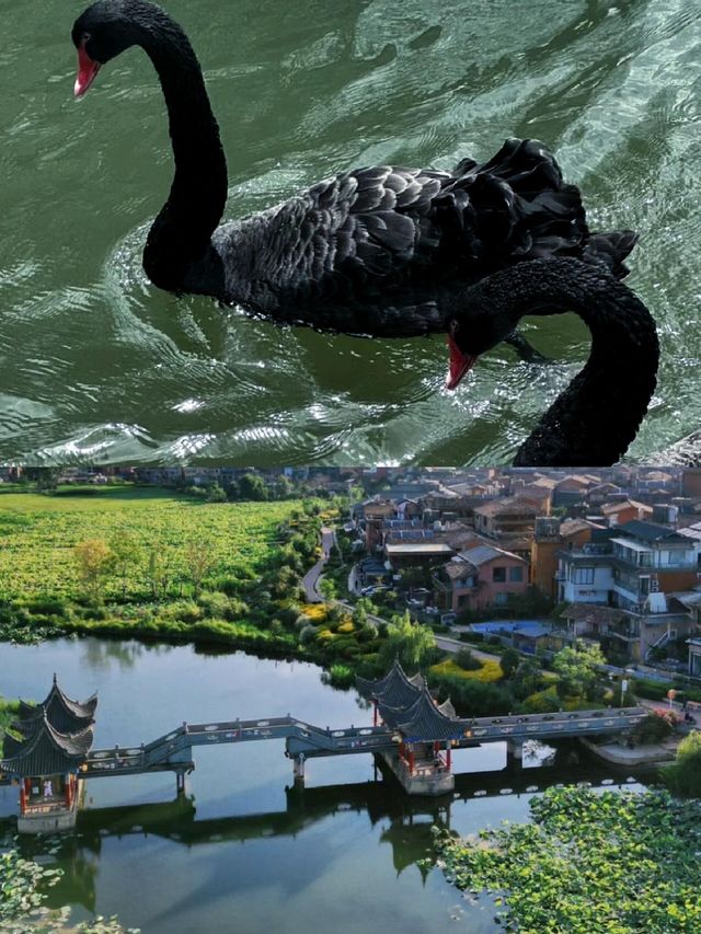 普者黑：喀斯特地貌的梦幻水鄉