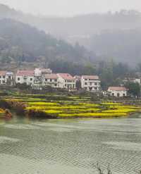 黃石大冶沼山村的春天
