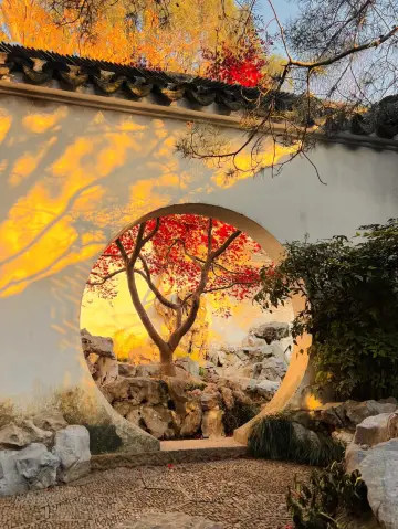 上海-苏州-杭州4日遊 超詳細行程攻略 讓你嗨翻天