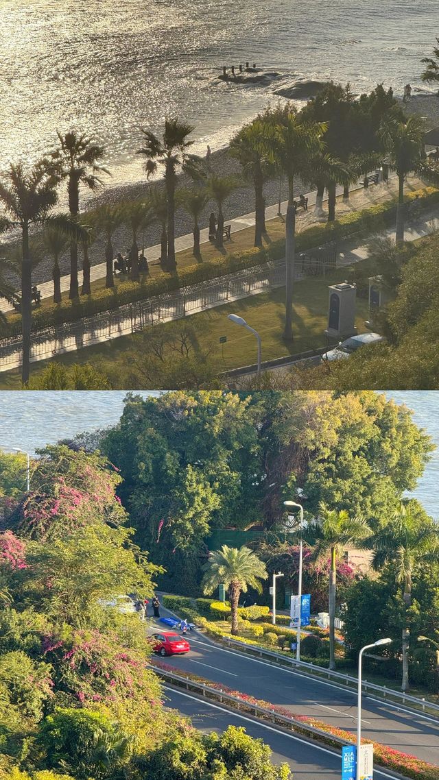 出現奇蹟是在凌晨五點的早餐