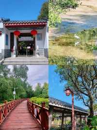 自駕1小時遛娃天花板｜封神路線+住宿攻略。