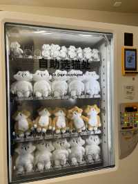 Is this the cutest 2nd hand shop in Shanghai?