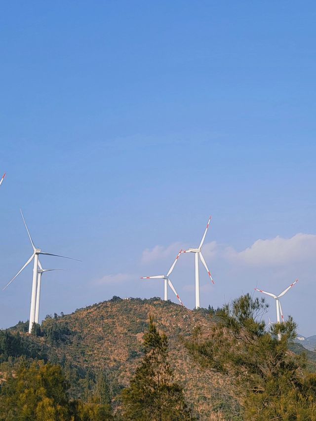 4日探秘潮州-南澳島-汕頭 與歷史印記邂逅