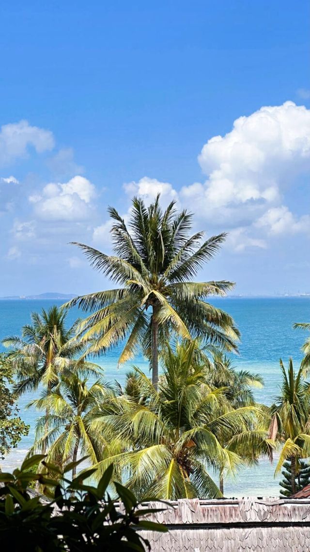 在陽光與海浪中找回內心的寧靜